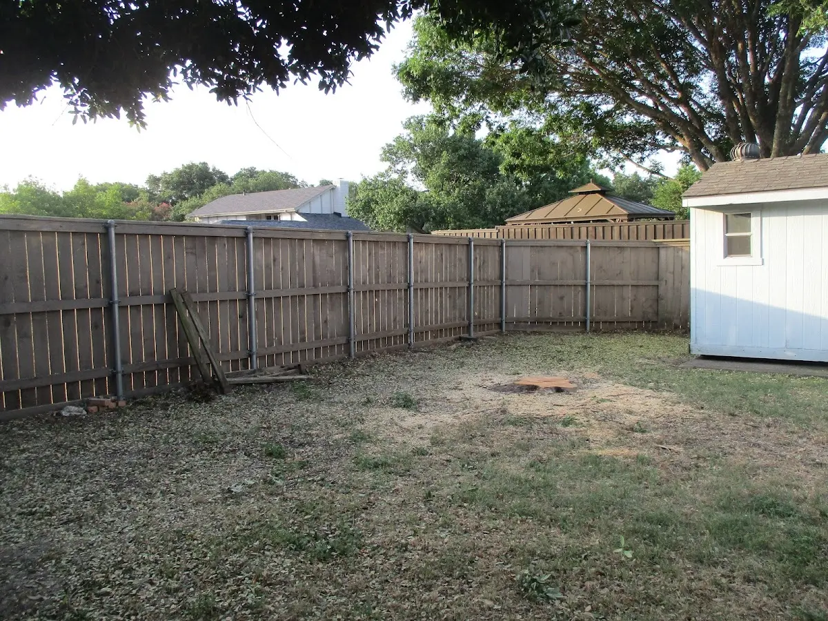 Cleared yard after professional tree removal in Saint Charles